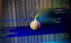 Zerodium заплатит $1 млн за уязвимости нулевого дня в Tor