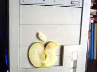 Социальные домогательства