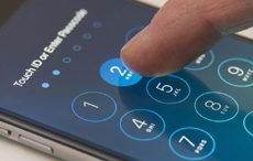 Появилось решение для взлома iPhone 6 и iPhone 6 Plus