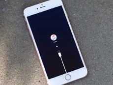 Пользователи iPhone подали коллективный иск против Apple из-за «ошибки 53»