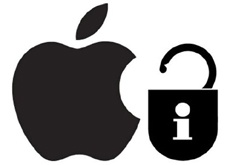 Хакеры охотятся за Apple ID