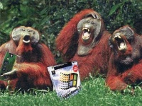 Film.ua - снимет сериал для смартфонов и кпкшек