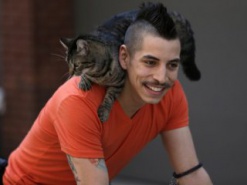 Катающийся с кошкой велосипедист стал звездой интернета