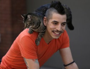 Катающийся с кошкой велосипедист стал звездой интернета