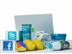 Wobot -  библия SMMщика