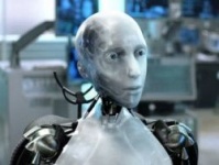 2009-й стал годом псевдоэлектронного правительства   РФ