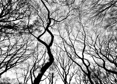 Фотографии с фильтрами оказались привлекательнее обычных