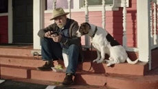 Uber запустила в США сервис для дальнобойщиков