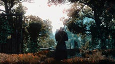 Разработчики The Witcher 3 выпустят новую игру в 2016 году