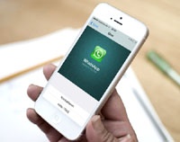 WhatsApp стал полностью бесплатным