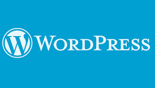 Вредоносное ПО для WordPress похищает файлы cookie