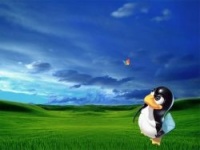 Linux против Windows: противостояние во время кризиса