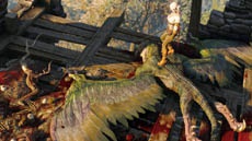 Игроки The Witcher 3 защищают CD Projekt от пиратов