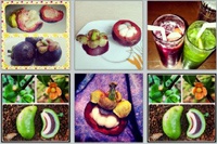 Instagram подвергся атаке фруктовых спамеров