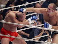 Форум дня: где обсуждать бокс и смешанные единоборства?