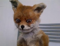 "Упоротый лис" принял участие в шествии на 1 Мая