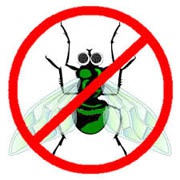 Названы лучшие антивирусы для Windows 8