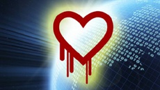 Спустя месяц уязвимость Heartbleed остается незакрытой на половине серверов в Интернете