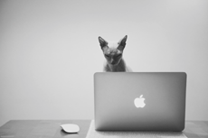 Самая асоциальная технологическая компания в мире