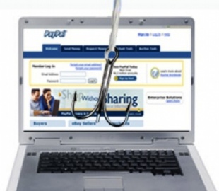 Фишеры ловят на живца