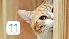 Любой может получить доступ к вашим фото в iOS 11