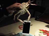 Xiaomi Mi4 подвергся необычному испытанию на прочность