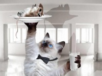 ДЦ ВОЛЯ - предложил минимальный тариф