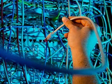 Создатель BitTorent спрячет тайны на самом видном месте