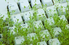 Многие беспроводные клавиатуры содержат опасные уязвимости