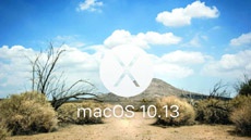 Apple случайно рассекретила macOS 10.13 за три месяца до официальной презентации