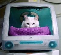 Домики для котов из старых компьютеров (Фото)