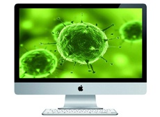 46% самых популярных сайтов признаны опасными