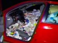 Интернет - помойка, кладезь знаний, образ жизни?..