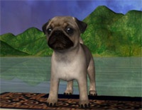 Новый стартап позволил пользователям перевести текст в 3D-изображение