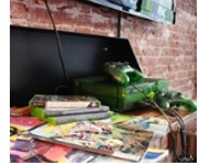 Первый в Европе отель для геймеров открылся в Амстердаме