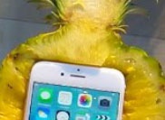 Розовый iPhone 6s сбросили с 30-метровой высоты в ананасе