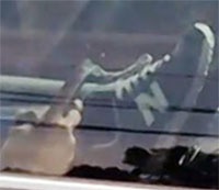 Американка набирала SMS двумя руками, управляя машиной ногой