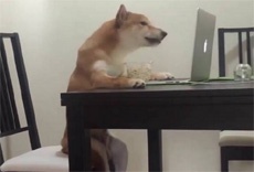 Представлен замок, закрывающий дверь при переходе браузера в скрытый режим