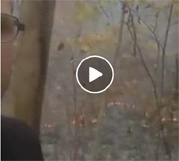 Метеоролог-любитель поджег лес ради просмотров в Facebook