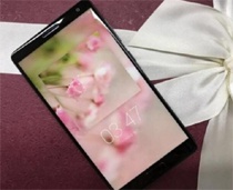 Безрамочный ZUK Edge показался на живом фото