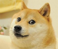 Ученые изучат мемы и смайлики для создания психологических портретов