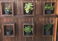 В сети попытались решить загадку спрятавшейся на фотографии змеи