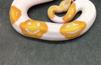 Мужчина потратил восемь лет на выведение питона с эмодзи на шкуре