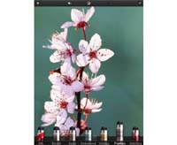 Бесплатный фоторедактор для iOS с интуитивным пользовательским интерфейсом