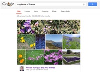 Поиск Google научился находить фотографии пользователей на основе темы запроса