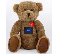 Медведь с встроенным экраном передаст детям милые послания от родителей