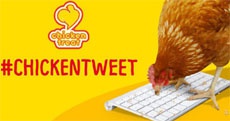 В Twitter появилась первая курица-микроблогер