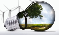 Ведущие техногиганты поддержали переход на чистую энергию