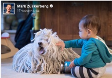 Первым словом дочери Цукерберга оказалось не «мама»