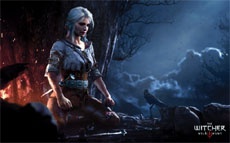 В Польше решили поддержать разработчиков игр финансово